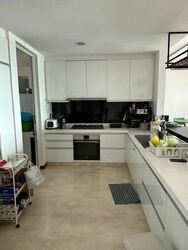 The Rochester Residences (D5), Apartment #586394541